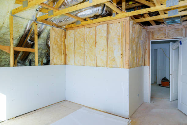 Best Geographic-Specific Insulation Services in Elk Rapids, MI