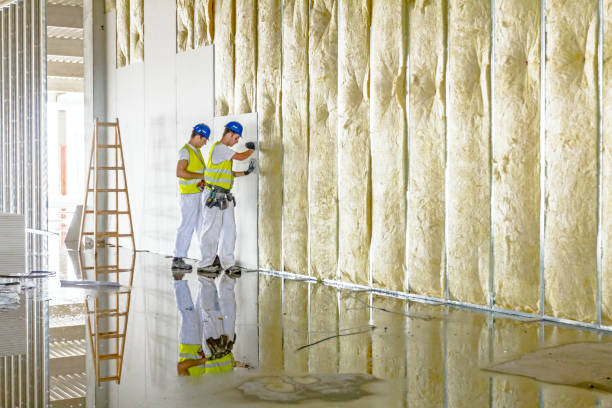 Trusted Elk Rapids, MI Insulation Contractor Experts